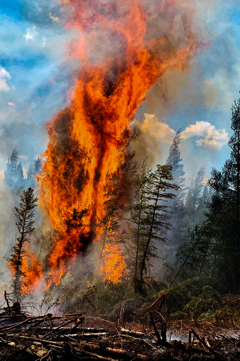 Wildcat Fire Services - Fire Protection Services - Alberta